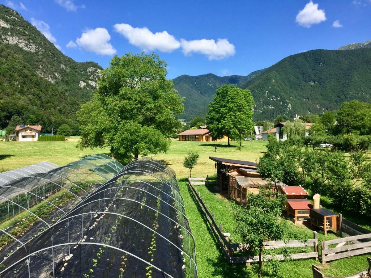 B&B Dalla Fattoria Della Patty П'єве-ді-Ледро Екстер'єр фото