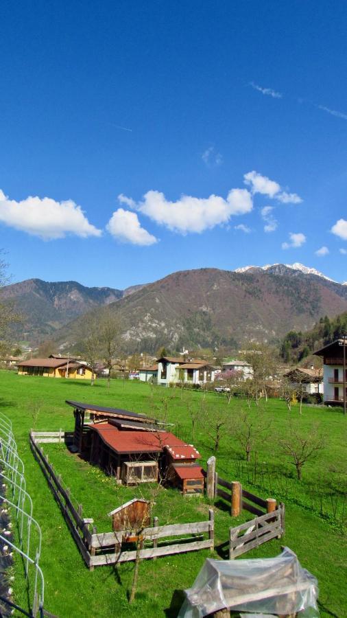 B&B Dalla Fattoria Della Patty П'єве-ді-Ледро Екстер'єр фото
